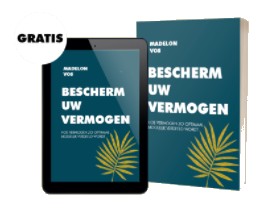 Bescherm uw Vermogen ebook